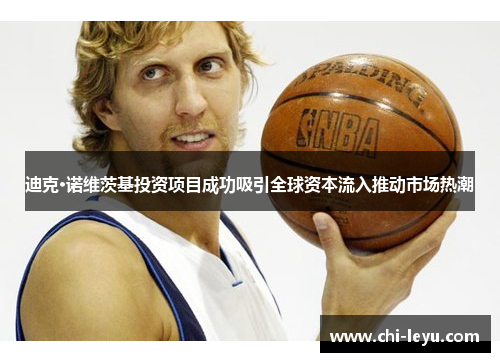 迪克·诺维茨基投资项目成功吸引全球资本流入推动市场热潮